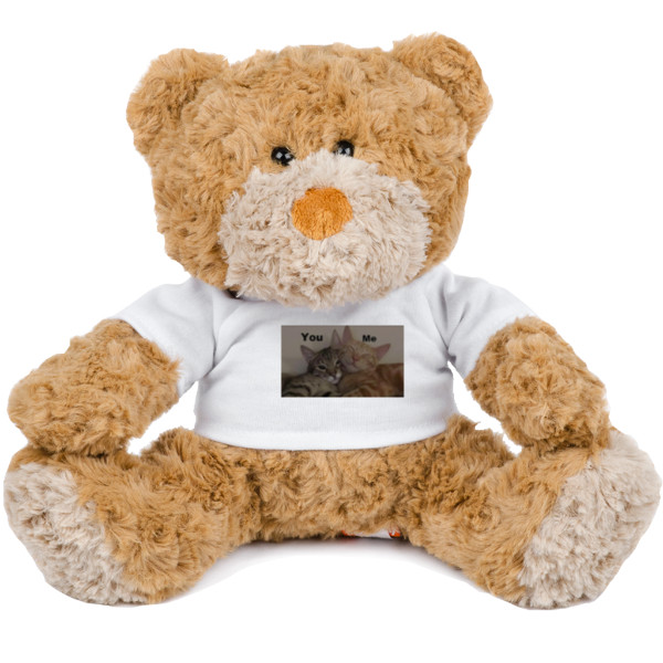 Teddy Bear You & Me